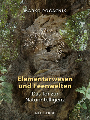 cover image of Elementarwesen und Feenwelten